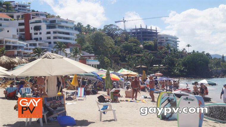 Puerto Vallarta 2026 Price Guide & Reality Check