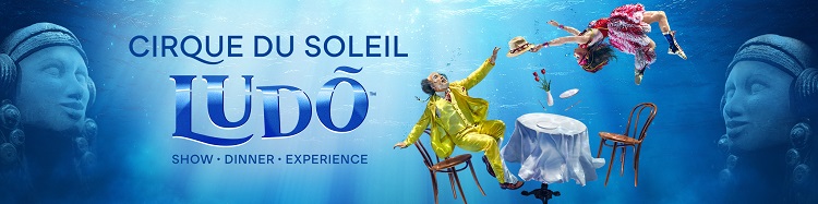 Cirque du Soleil LUDO Dinner Show at VidantaWorld