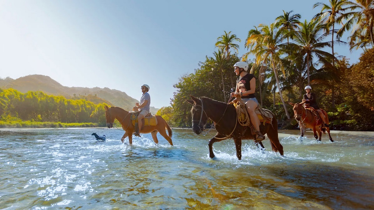 Sea Safari Puerto Vallarta