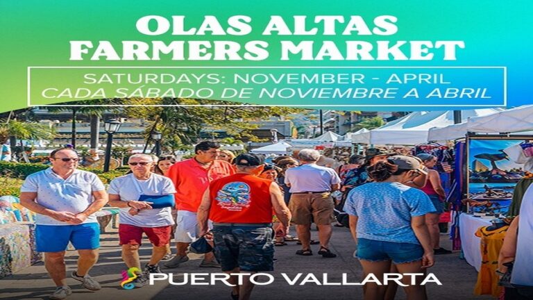 OlasAltas farmers market 768x432